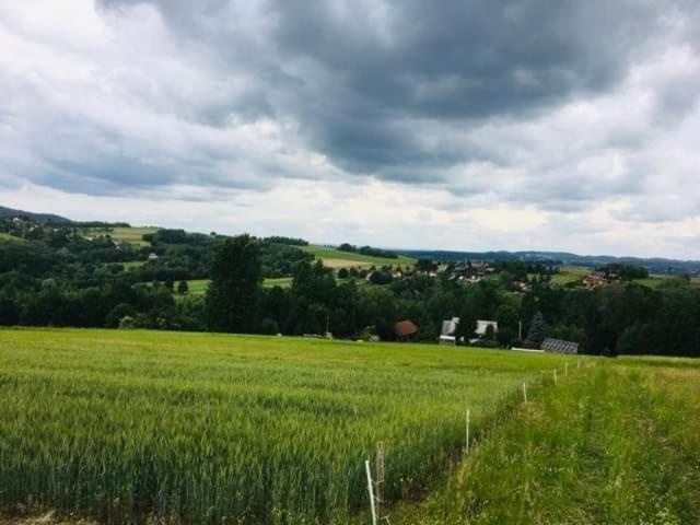 Agroturystyka Zielona Dolinka Stryszow Buitenkant foto