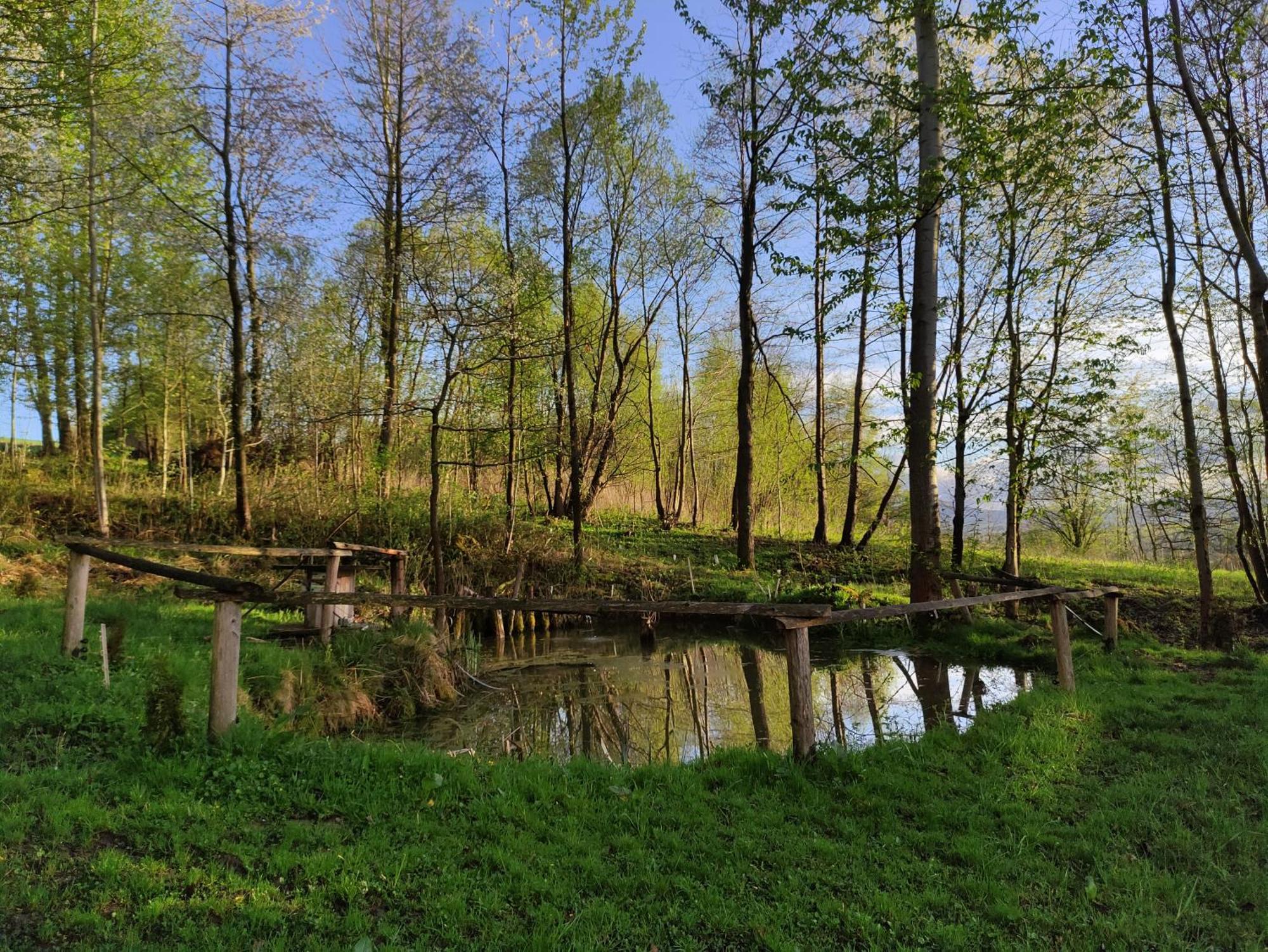 Agroturystyka Zielona Dolinka Stryszow Buitenkant foto